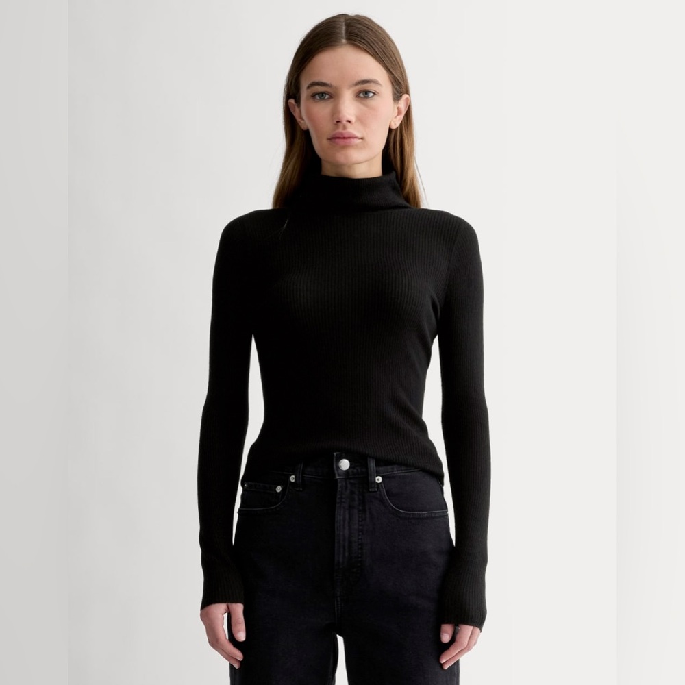 Everlane Ultrasoft Merino Wool Turtleneck